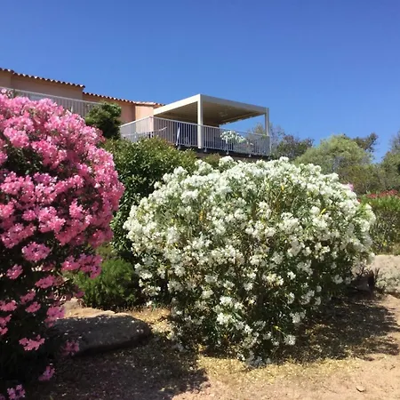 Maison Accueillante Avec Jardin Et Vue Sur Montagne A Porto-vecchio *